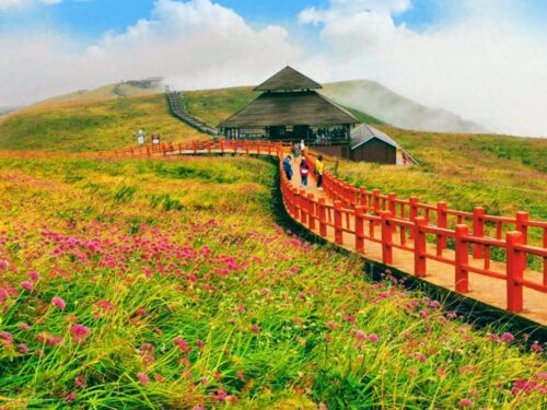 贵州六盘水旅游十大景点排名(六盘水有哪些景点值得去玩)