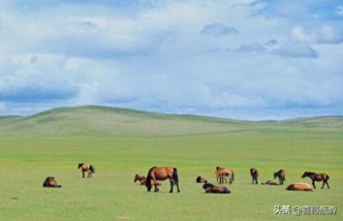 呼伦贝尔市旅游景点排名(内蒙古呼伦贝尔大草原的民族刁俗)