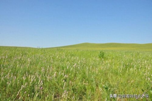 内蒙古旅游景点大全景点排名(内蒙古必去十大景点排名)