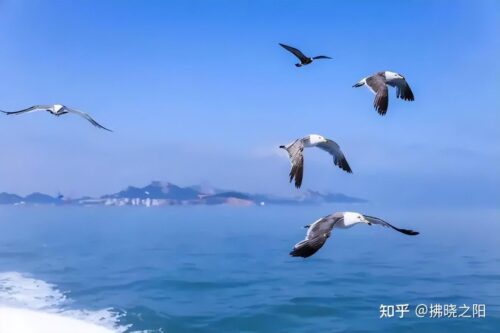 中国最美海岛旅游排名(中国最美海岛排行榜前十名)