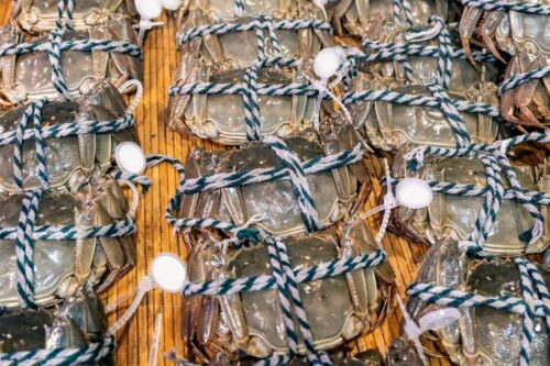 中国十大湖大闸蟹排名(全国著名的蟹品牌)